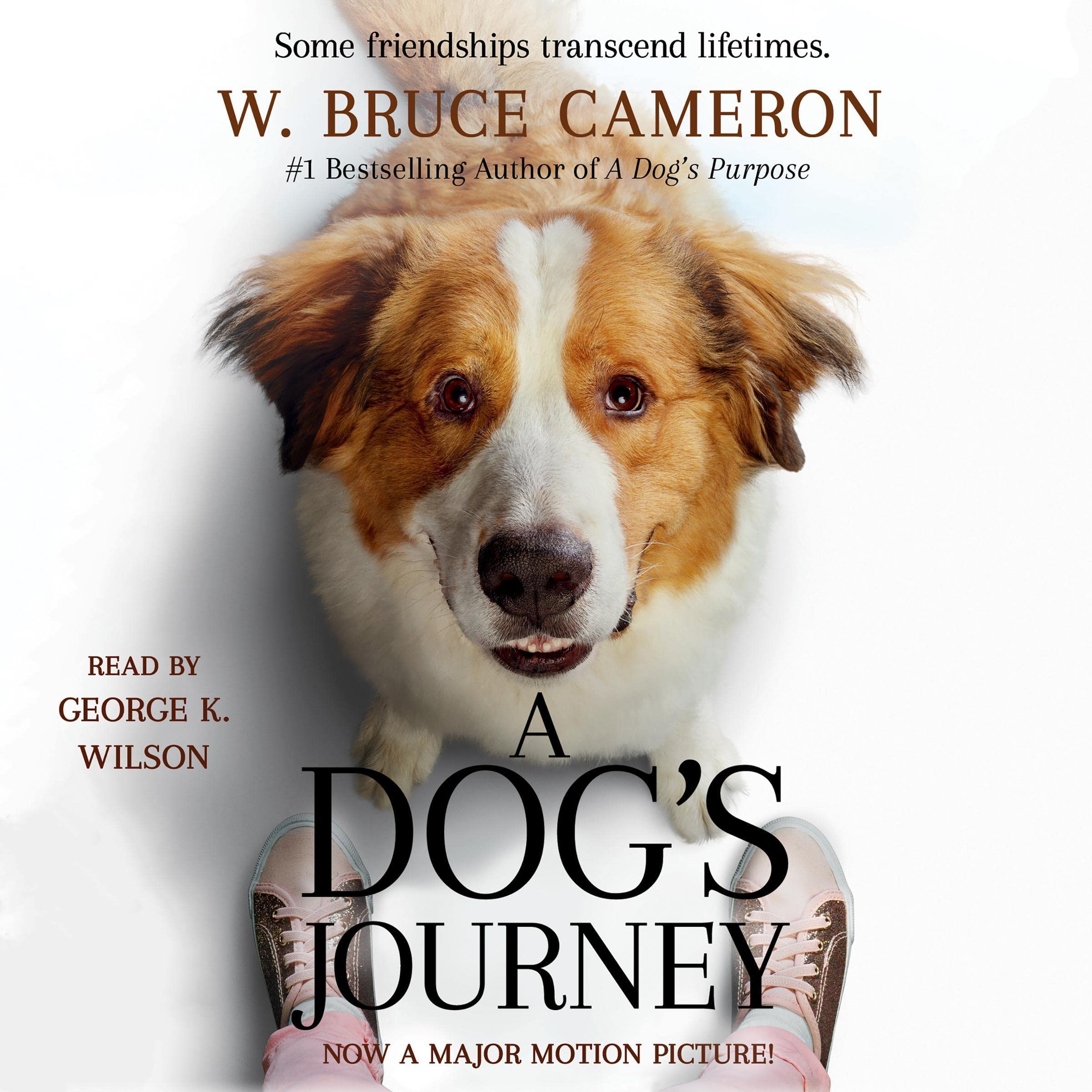 Cover art for A Dog's Journey