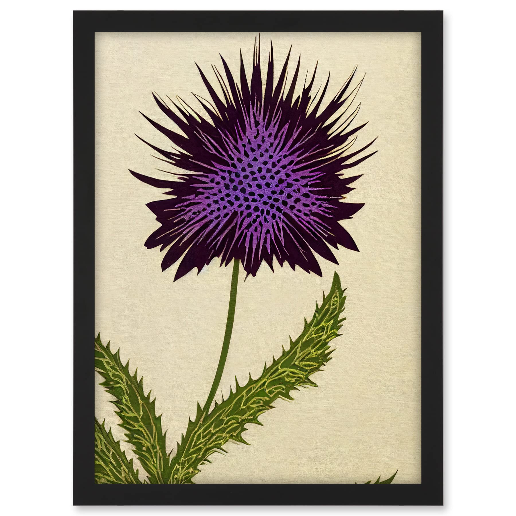 Wee Blue Coo Stylized Modern Purple Scottish Thistle Flower Illustration Artwork Framed A3 Wall Art Print