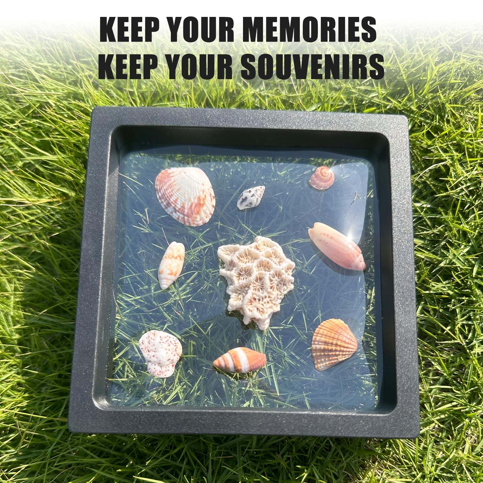 DEALSGOGO 2pcs Seashell holder, 3D Floating Seashell Display Box, Transparent Seashell Display Box? sea shell holder Decorative Seashell Starfish Trinket?Shark Teeth, Diamonds, Jewelry, Badges & Coins