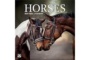 Turner Photographic 2024 Horses Wall Calendar