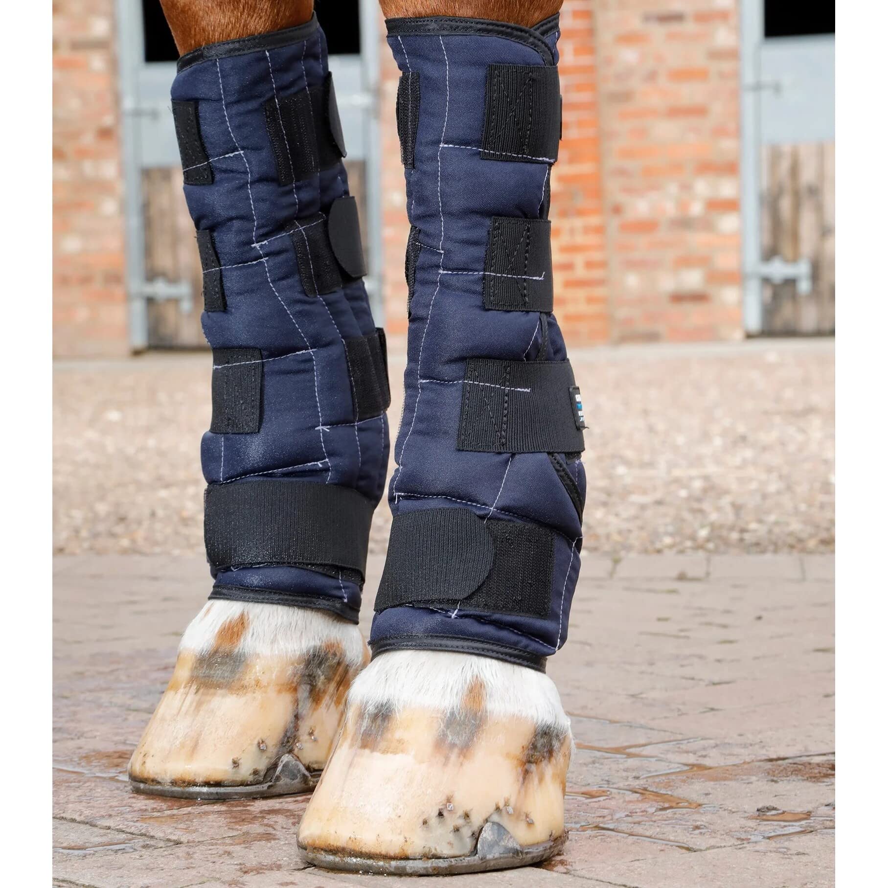 Premier Equine Botas de Agua fría para Caballos