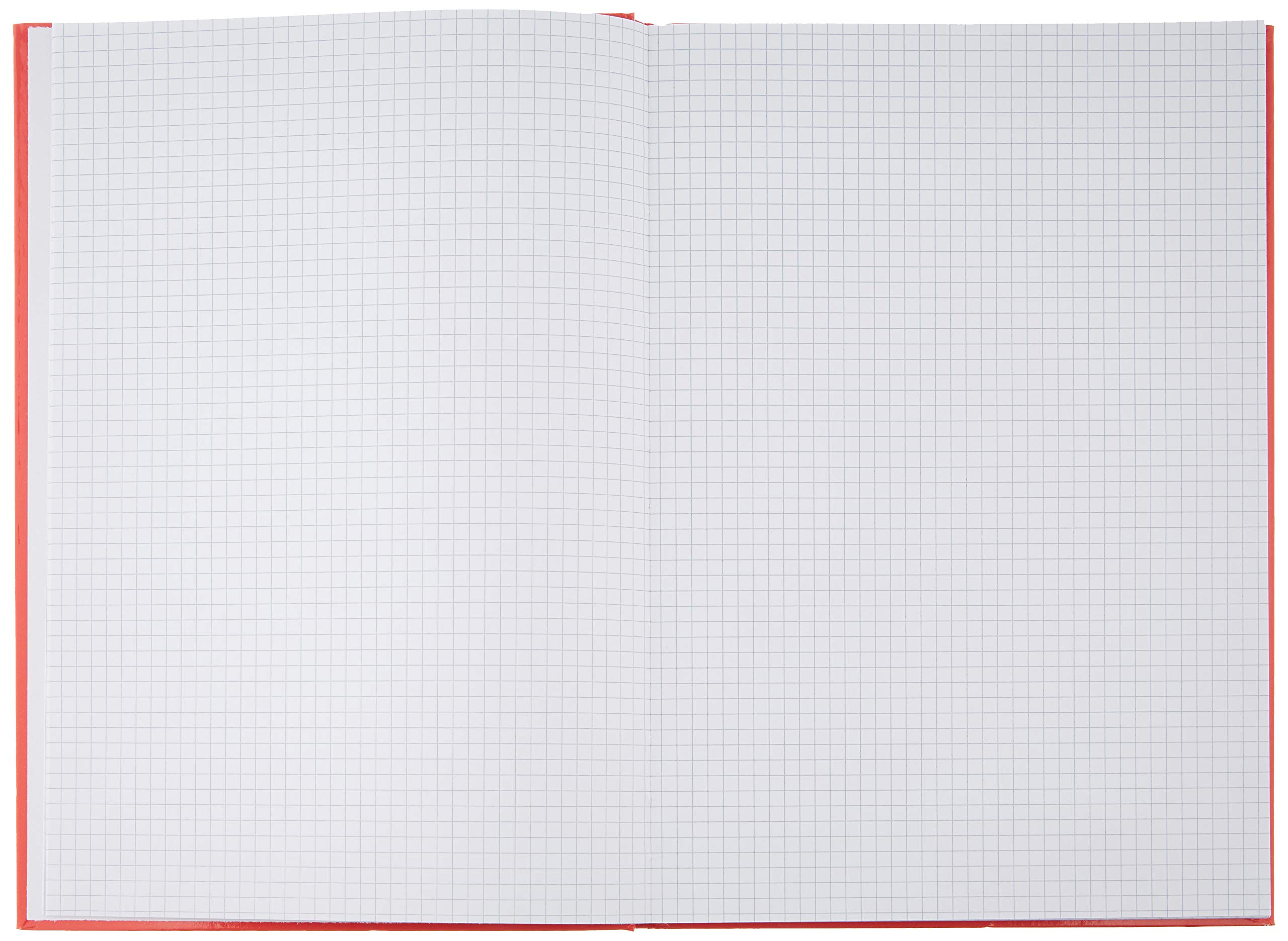 Registro Pigna Monocromo A4 - 384 Pagine, Copertina Rigida, Carta 80gr - Made In Italy - Foto 10