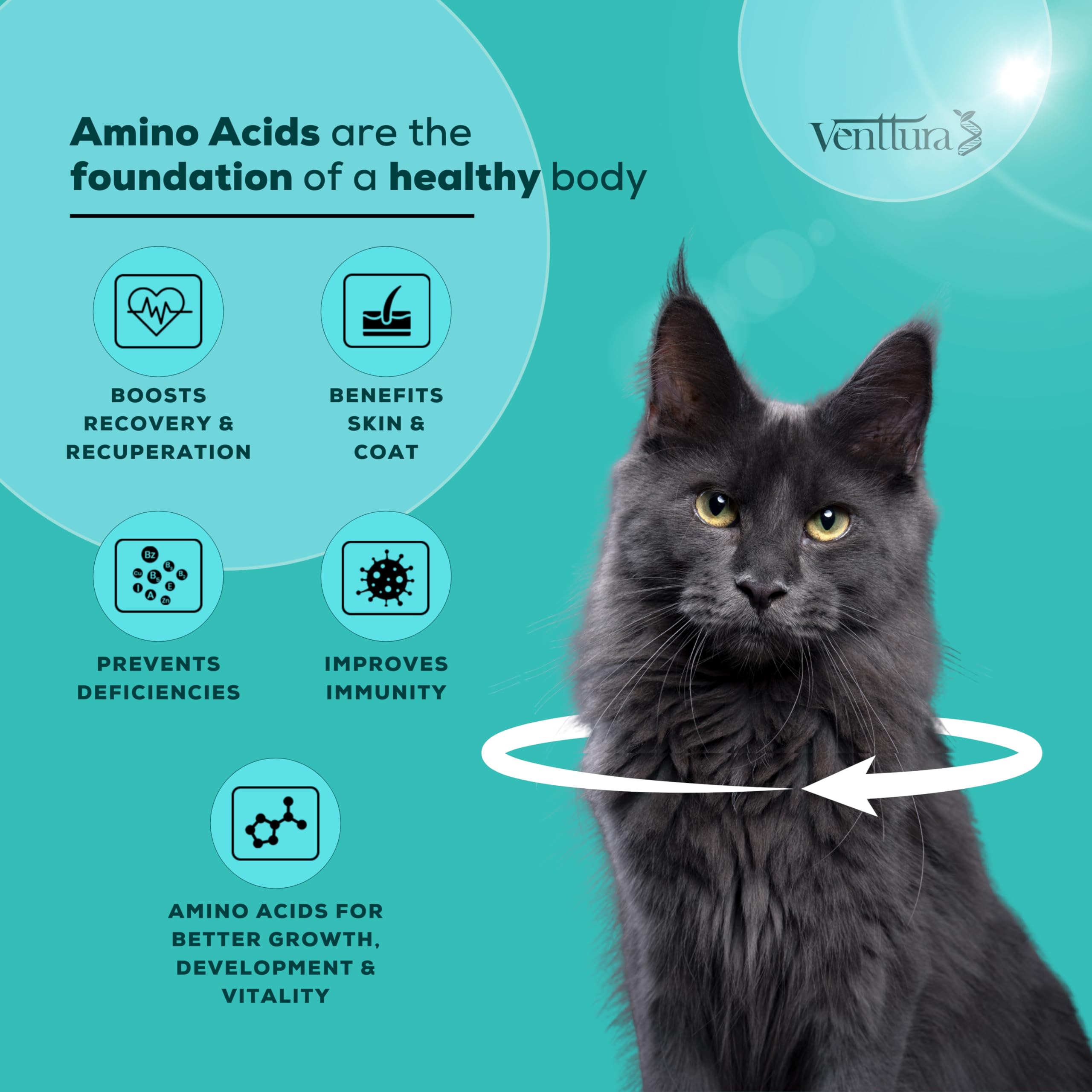 Venttura Amino+ Cat Supplement for Better Health | Amino Acids & Vitamins Suspension | for Overall Health, Growth & Immunity | Cat Supplement for All Life Stages (100 ml Suspension) 2