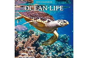 Red Robin 2025 Ocean Life Monthly Wall Calendar