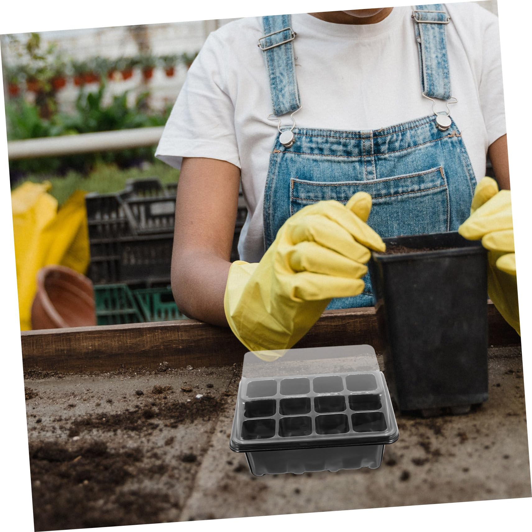 BESPORTBLE 3 Juegos Caja De Plántulas Semillas Planta Bandejas De Inicio Bandeja De Germinación Bandeja De Inicio De Celdas Bandeja De Inicio Transpirable Bandejas De Cultivo De Hortalizas