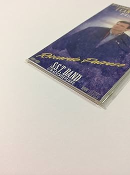 SCREWD 『THE STRONG SURVIVE』　CD 貴重盤 イギー＆ザ・ストゥージズ Skydogレーベル作品を網羅した