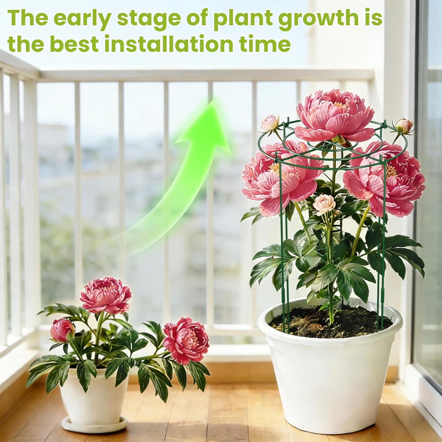 6 Pack Peony Cages and Supports, 12" x 24" Tall Peonies Support Cage, Heavy Duty Metal Peony Stakes and Supports for Rose Hydrangea Flower Plant