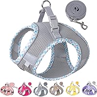 Vista 12 de Petank Arnés para perros pequeños y medianos sin tirones, juego de arnés y correa para cachorro, arnés para perro para caminar, correr y entrenar