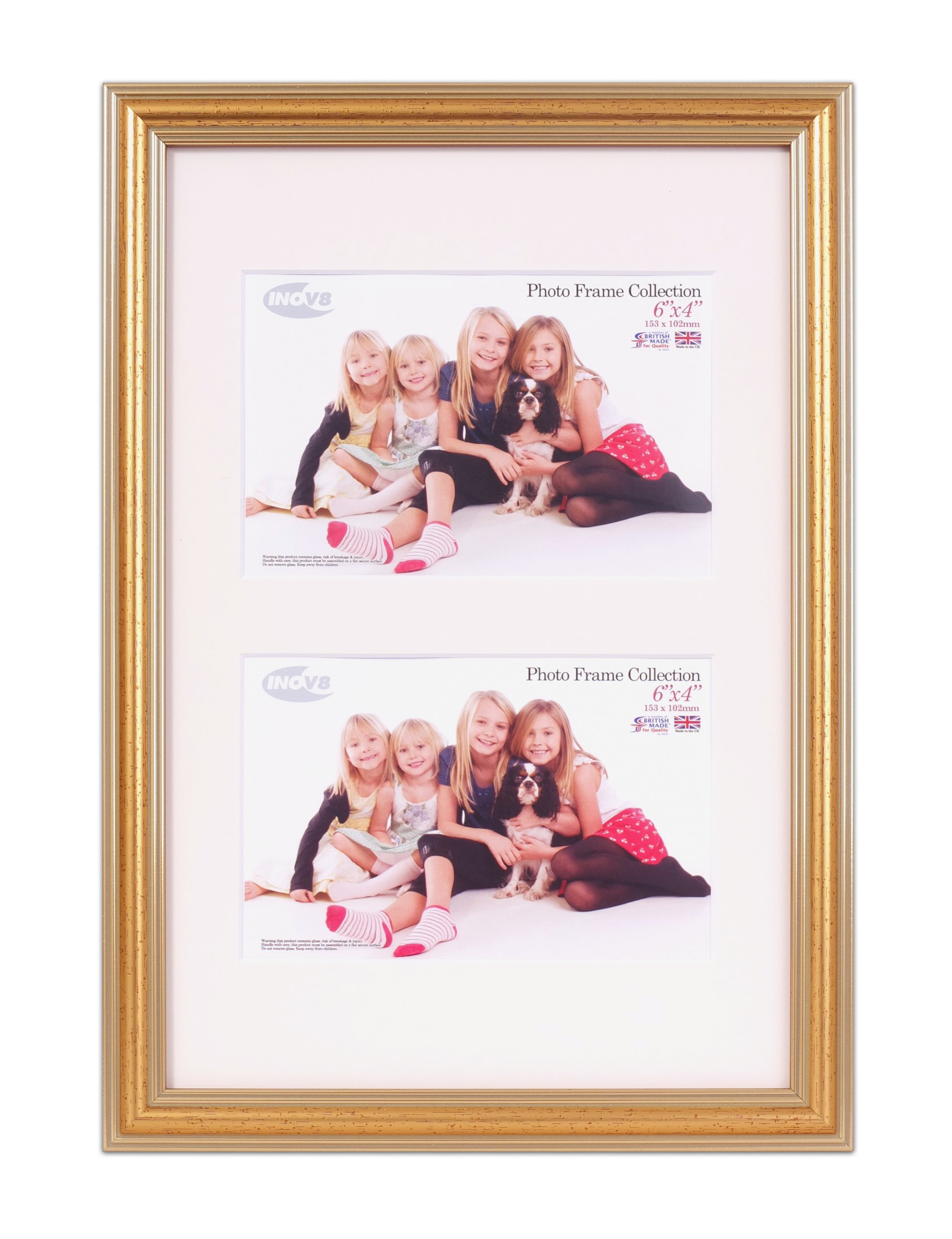 Inov8 Framing PFES-GOLD-DA1 Frame, Gold 600, 12x8 inch Dual Aperture