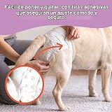 Ver la foto 4