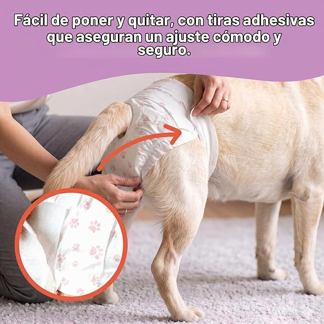 Foto 4 de 8 de Aqpet Pañales higiénicos Bragas absorbentes para Perros Hembras para Ciclo de incontinencia con Cierre…