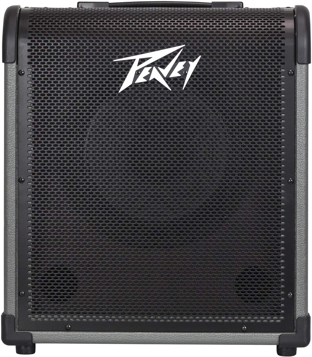 MAX 100 100-Watt Bass Amp Combo