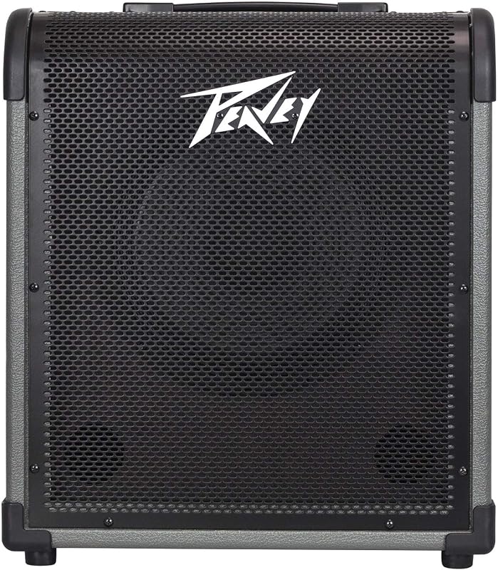 Peavey Max 100 Bass Amp Combo