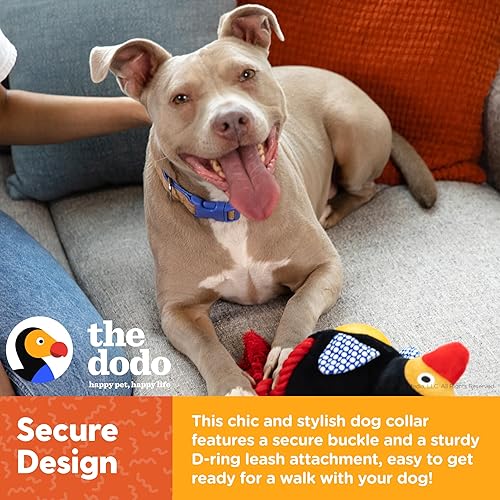 Miniatura 3 de Collar de corcho para perro, rayas, talla pequeña collar de material de corcho para perros, ropa diaria de mascotas ajustable a presión, collar de