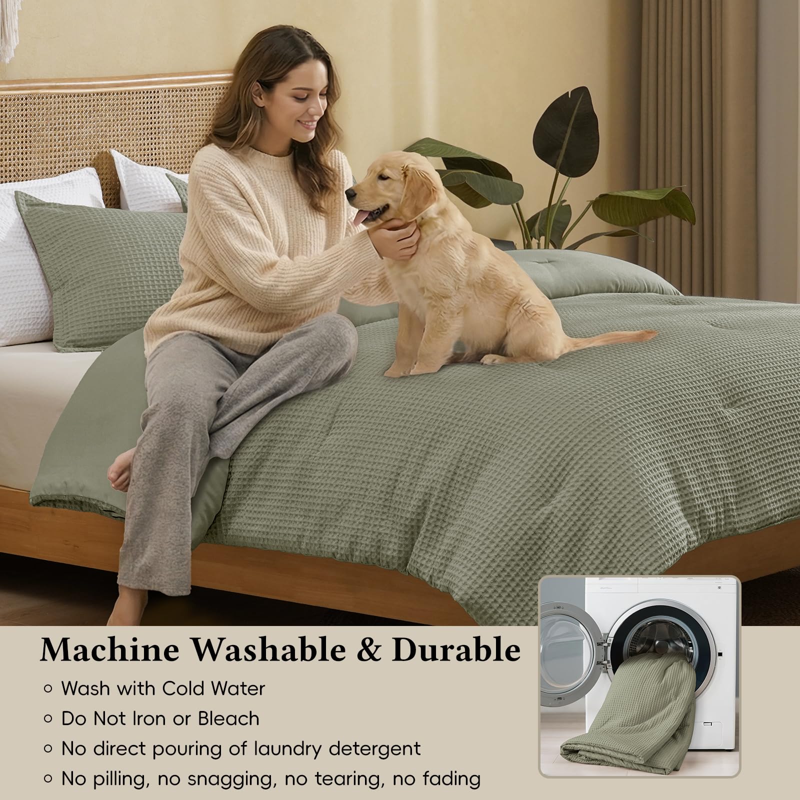 https://m.media-amazon.com/images/I/81sn9KWdcqL.jpg