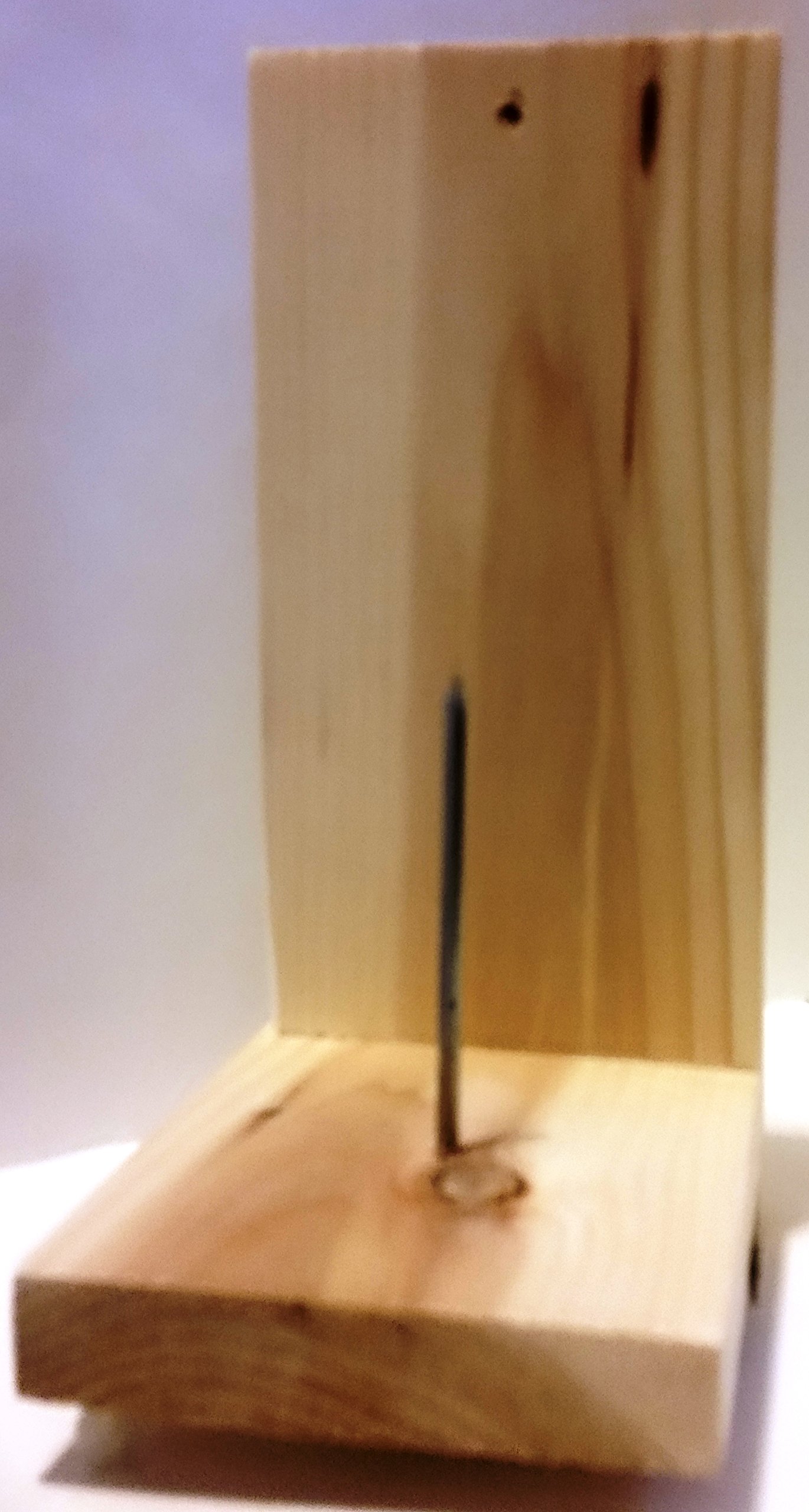 Ipa's Squirrel Feeder