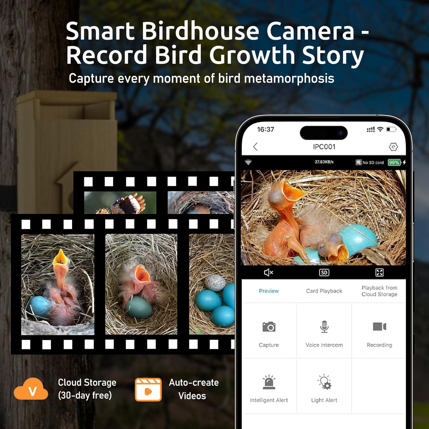 Smart Bird House with Camera Solar Powered, 1080HD Live Video & Night Vision for 24/7 Nesting Recording, Auto Detect & Notify, Waterproof Bamboo, Ideal for Bird Lovers Lonely Elderly & Children Gift