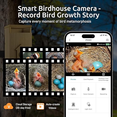 Miniatura 3 de Casa inteligente para pájaros con cámara, cámara HD 2K con energía solar, vista en tiempo real del nido de pájaro y la eclosión, casa inteligente de