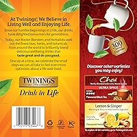 Vista 566 de Twinings Blackcurrant Breeze - Té negro, 6 paquetes de 20 unidades, bolsas de té envueltas individualmente, dulce, sabor picante, con cafeína