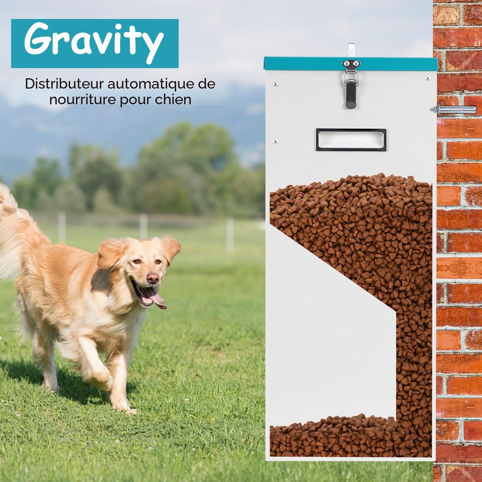 Mangeoire Automatique pour 2 Chiens, Distributeur de Nourriture Galvanisé d'une Capacité de 46lbs, Double Mangeoire pour Animaux de Compagnie pour L'extérieur et L'intérieur