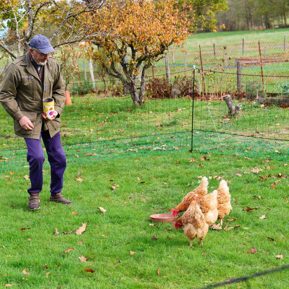 Oxeo Filet de Cloture à Poule 30M - avec Porte d'accès - 10 piquets renforcés Double Pointes - Hauteur 120cm - Noir