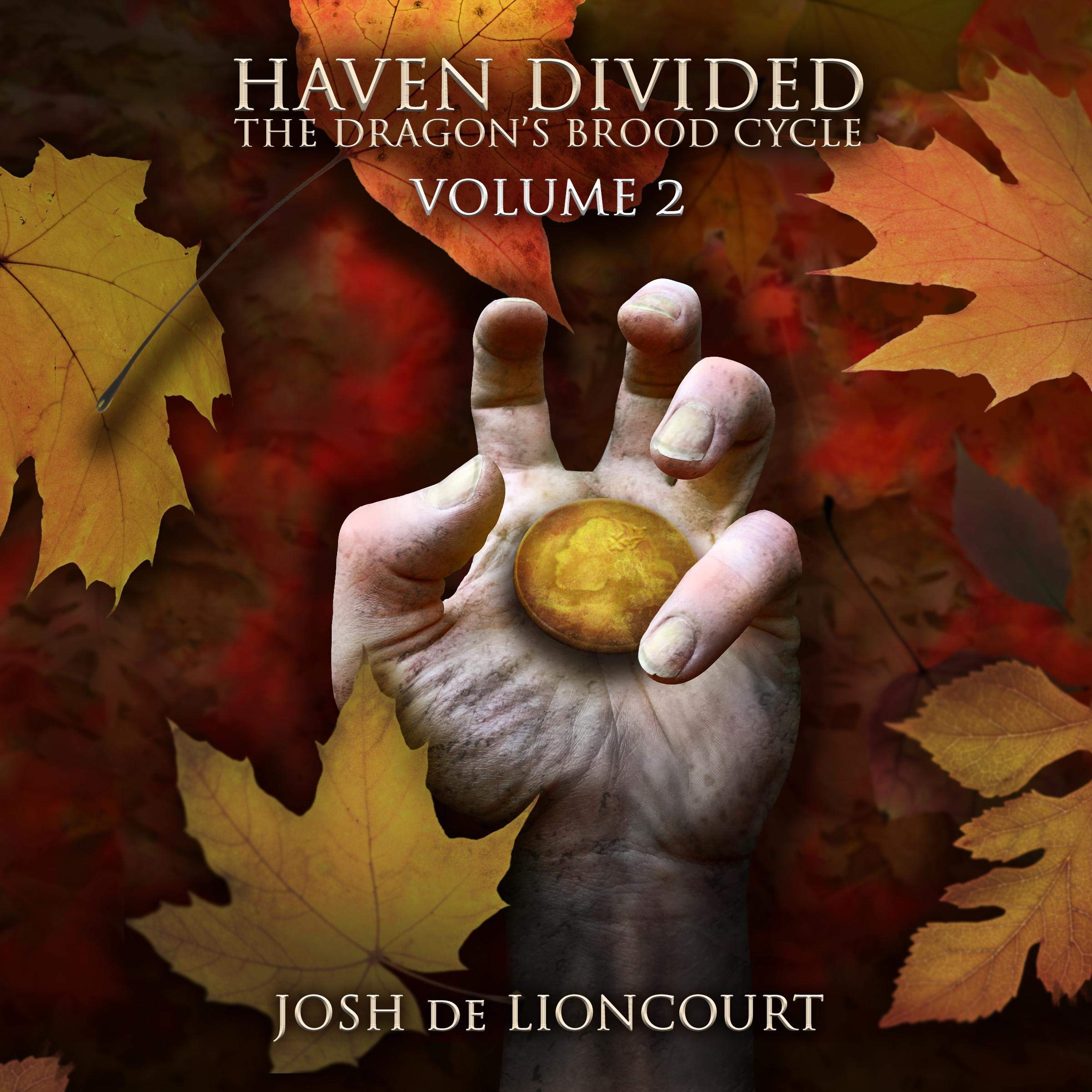 Cover art for Haven Divided