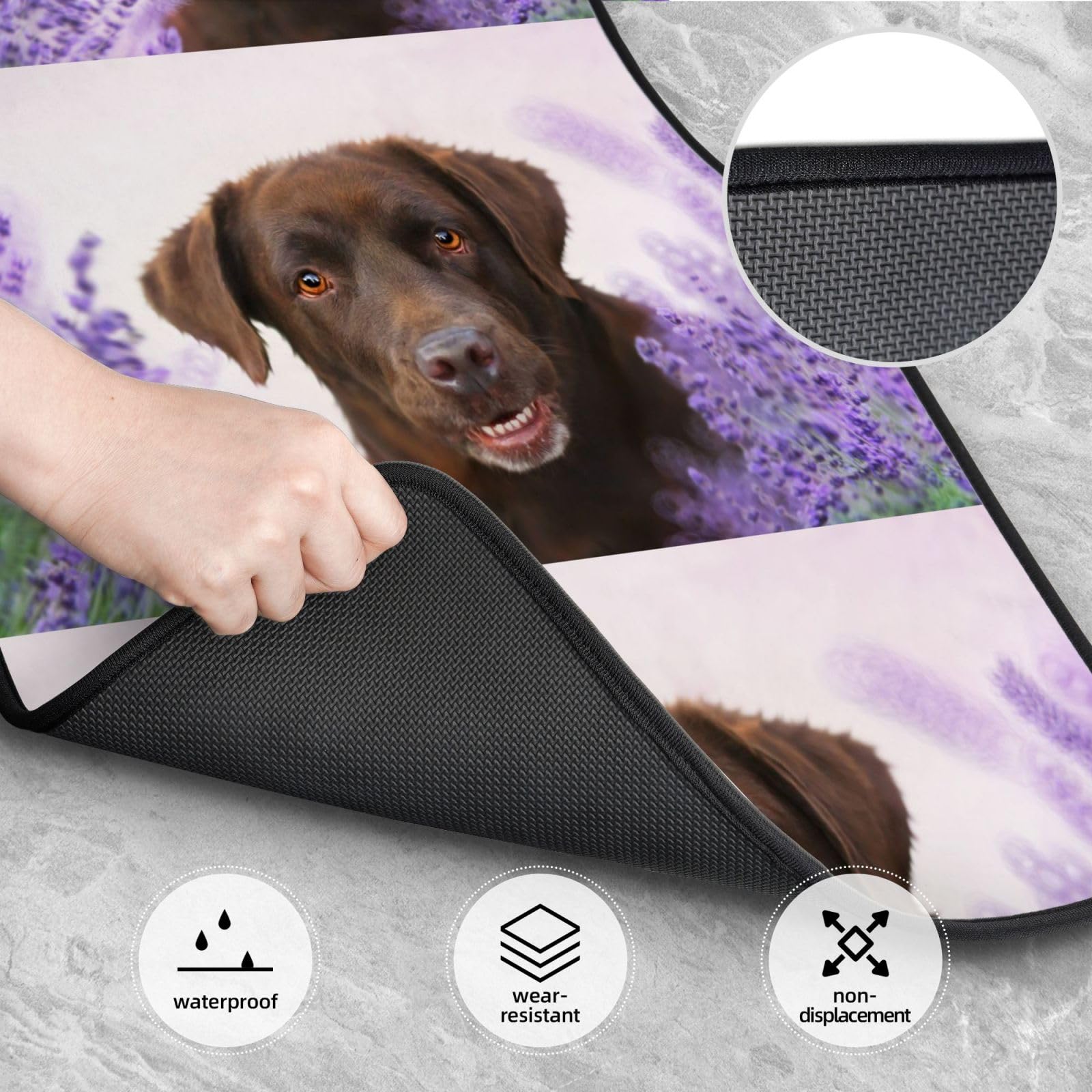Brauner Labrador, Lavendelfarbene Retriever, 4er-Set Auto-Fußmatten, Neopren-Fußmatten für Fahrzeuge, rutschfeste Auto-Fußmatten, Autozubehör