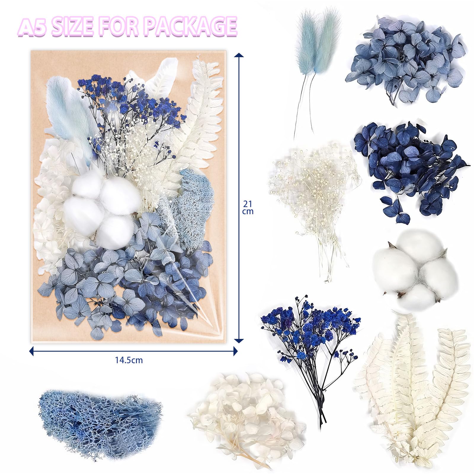 Fiori secchi naturali in rilievo Fiori conservati Resina DIY Gioielli Candela Nail art Crafts Scrapbooking Decorazione floreale