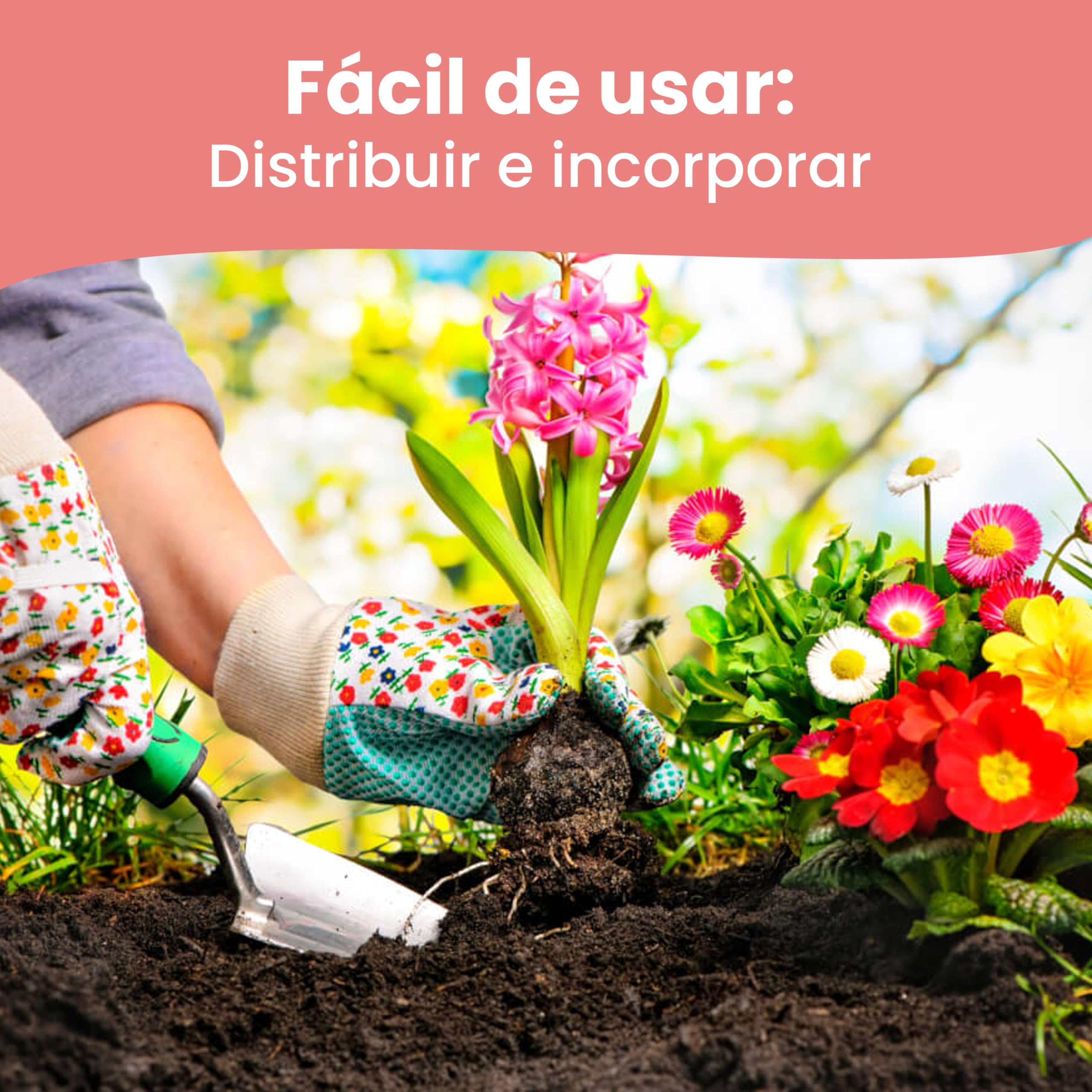 LERAVA Abono hortensias (2x800 g) - Abono acidófilas BIO para hortensias y rododendros - Mantiene suelo ácido I Crecimiento vigoroso y floración abundante - Ideal jardin