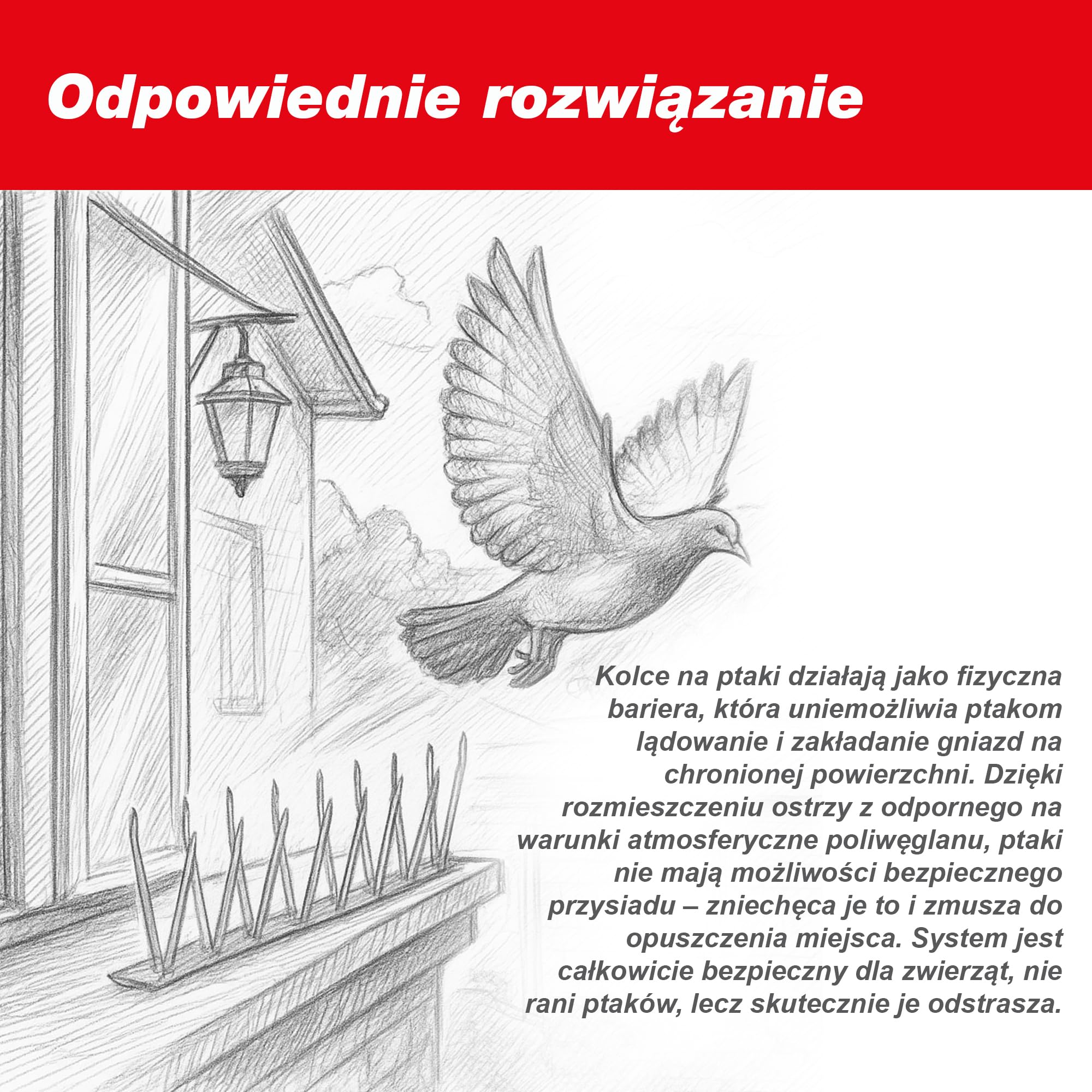 SWISSINNO Kolce odstraszające ptaki 100 cm (3x33,3 cm) – przezroczyste kolce na gołębie z poliwęglanu – dzielone – łatwy montaż – odporne na UV i warunki atmosferyczne – na parapet, balkon, rynnę