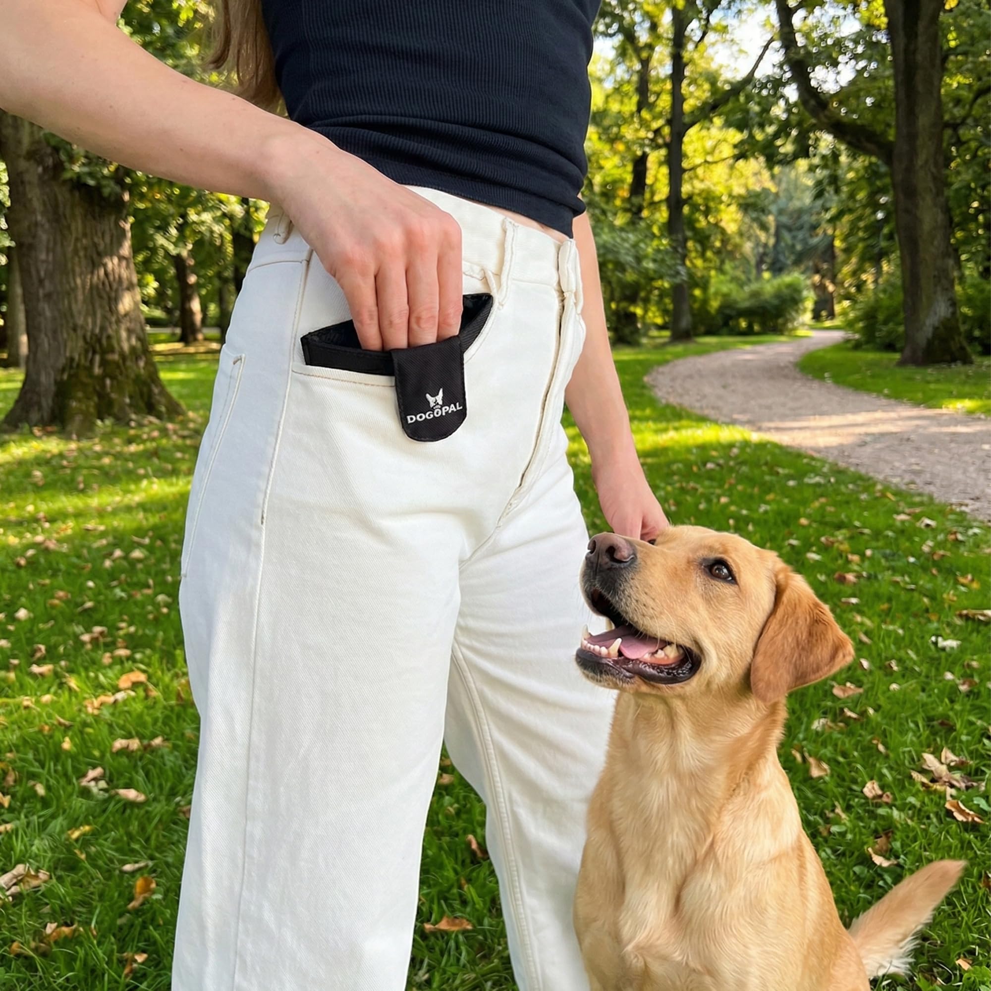 DOGOPAL Porta Premietti per Cani con Chiusura Magnetica, Porta Snack da Tasca per Addestramento, Sacchetto Porta Crocchette Compatto per Passeggiate (Rosa)