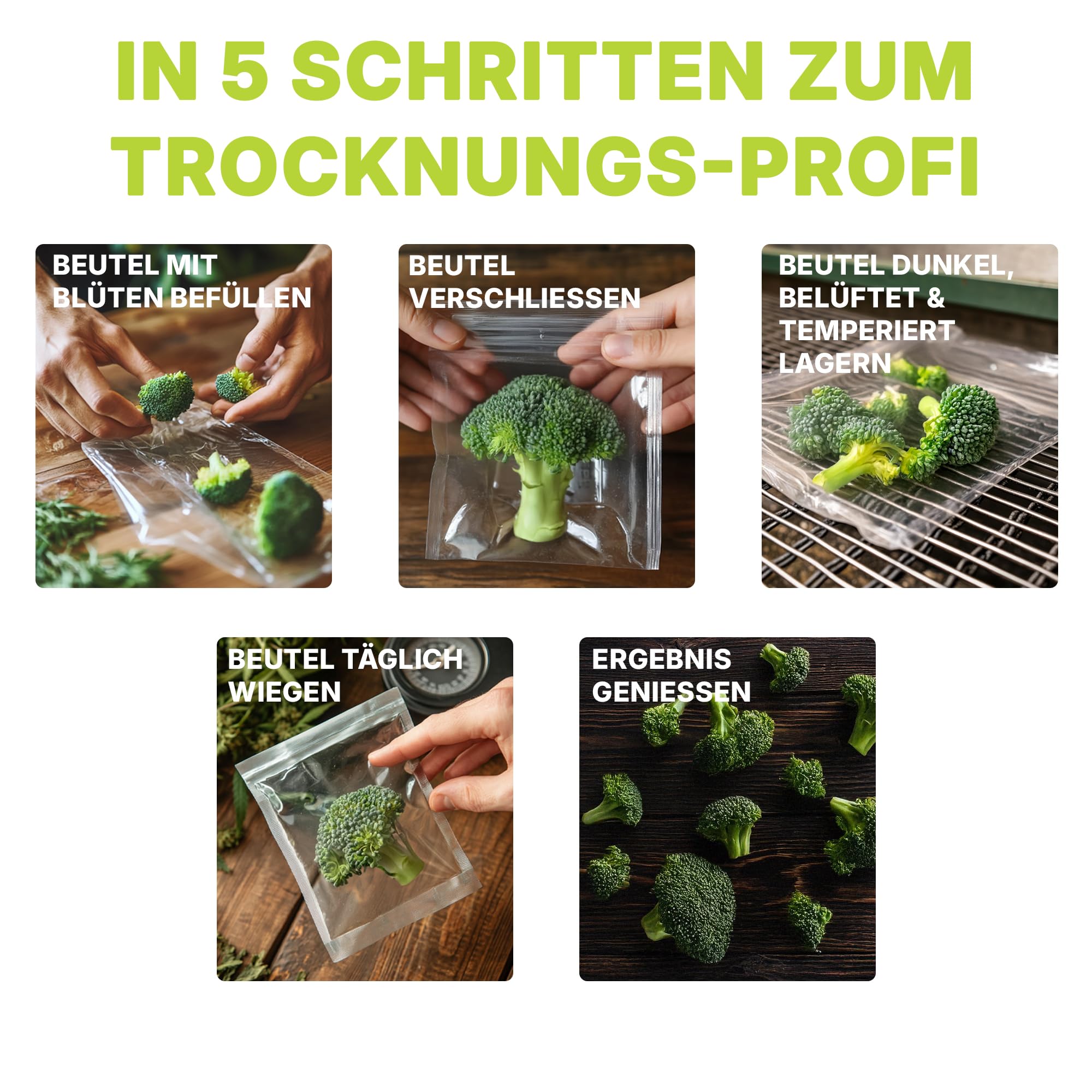 Dschinni DryFerm Curing Bags Lot de 3 sacs de séchage (30 x 50 cm) avec film Weedmaster – 55 % RLF pour herbes et fleurs, protection contre l'oxydation | Sacs étanches de qualité supérieure avec film de protection UV