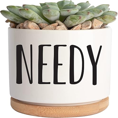 JENVIO Maceta pequeña de cerámica para suculentas para amantes de las plantas, maceta única de cumpleaños para el día de la madre, decoración para