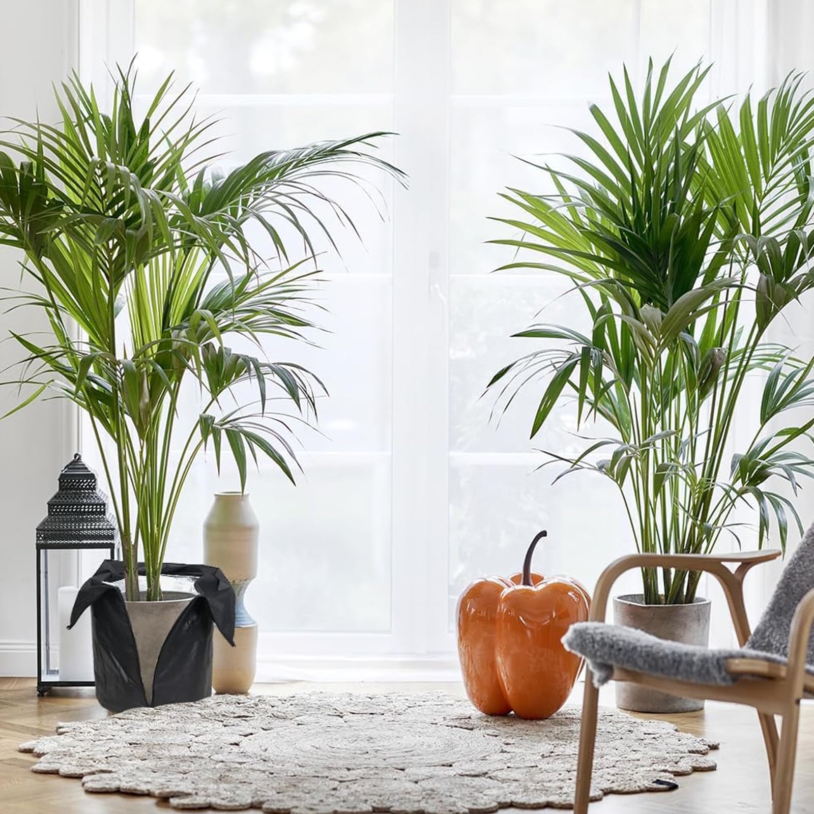 2 Housses D'Hivernage Pour Plantes En Pot 50x45cm - Sac Antigel Avec Fermeture Éclair Et Cordon, Protection Thermique