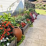 Review Image by C. Williams C. Williams