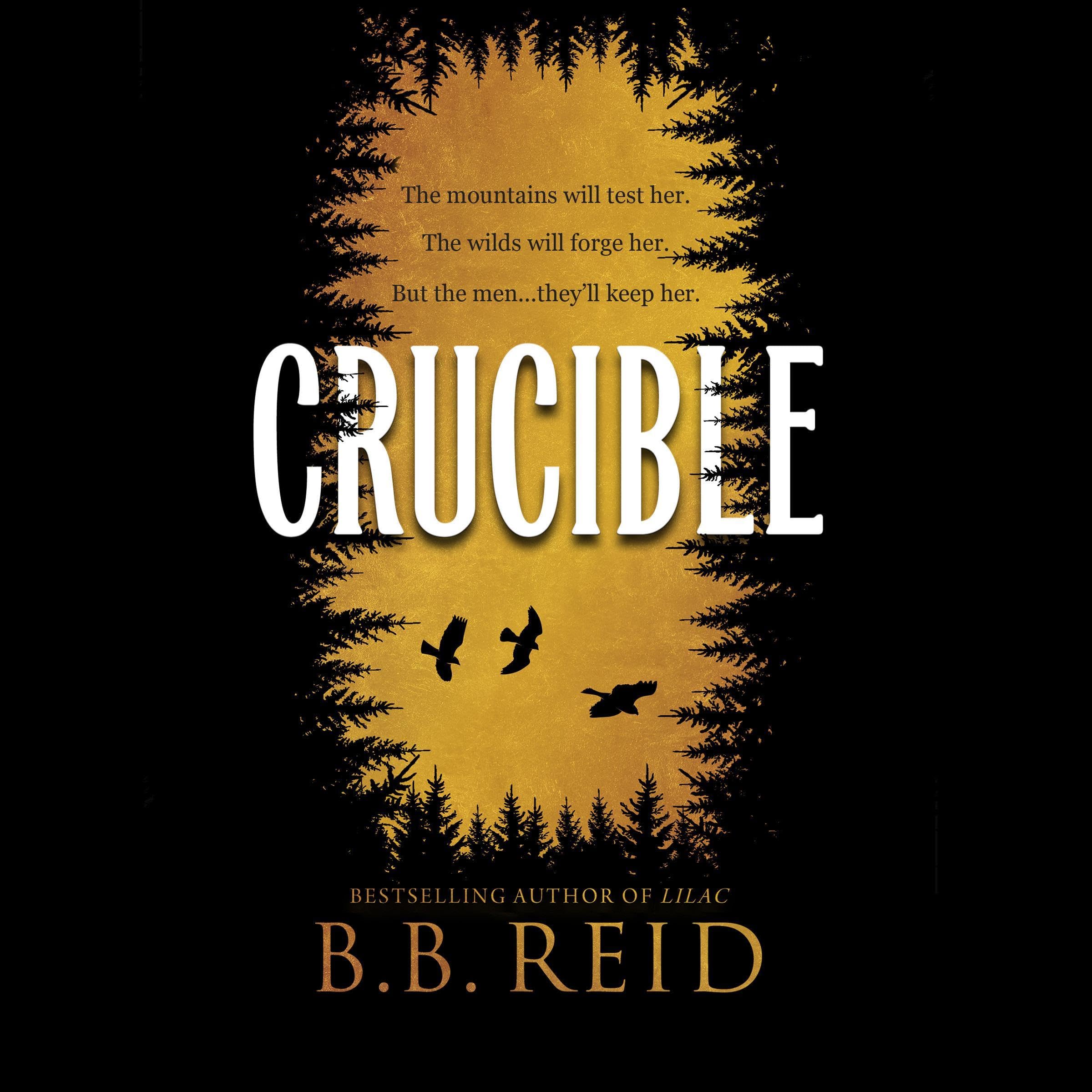 Cover art for Crucible