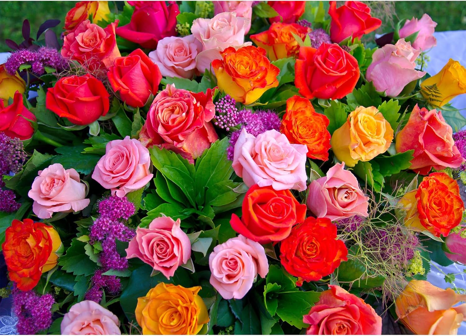 Jigsaw puzzles for adults 1000,jigsaw puzzles for adults,puzzles for