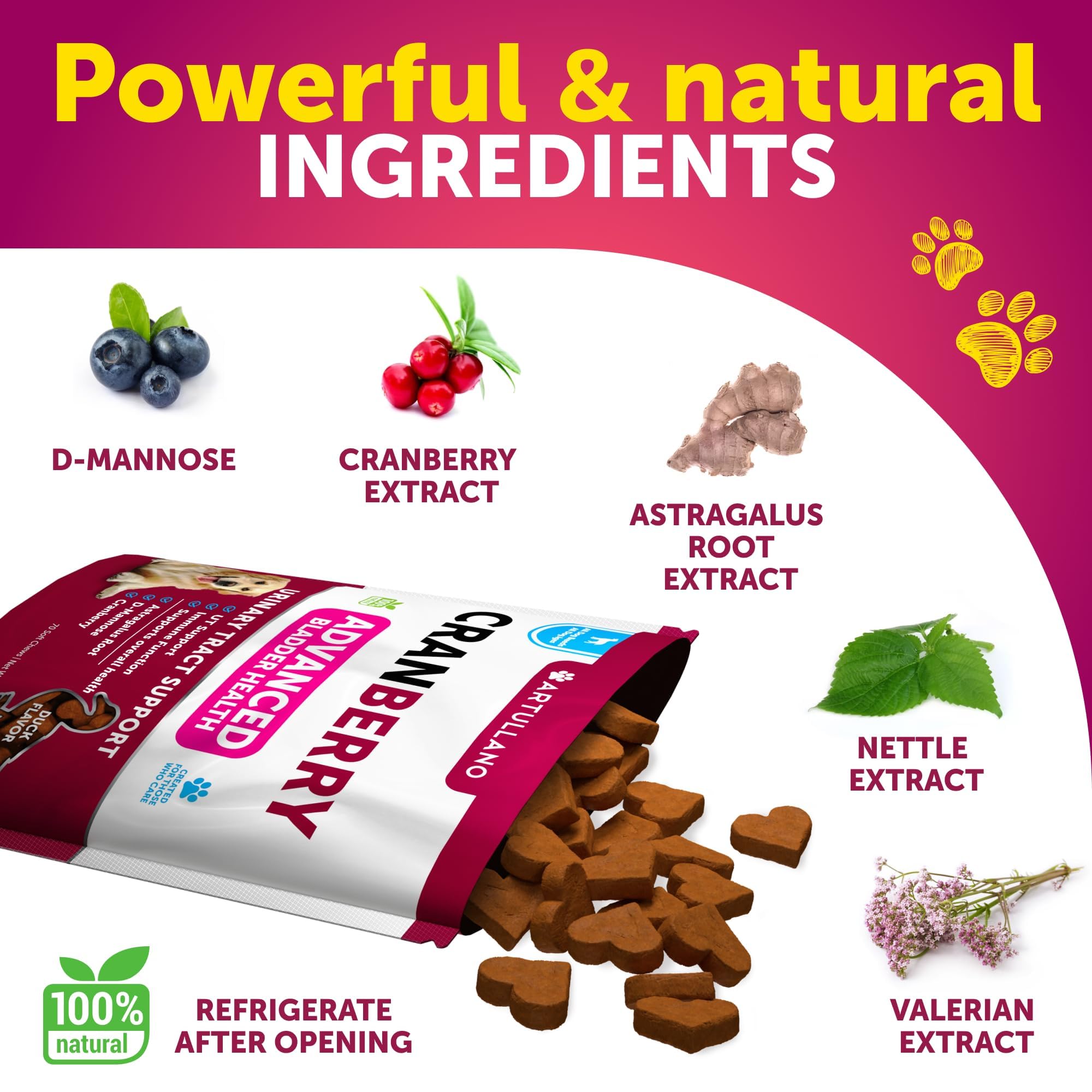 Cranberry Chews for Dogs - Dog Cranberry Supplement for Urinary Health — Amazon image 3