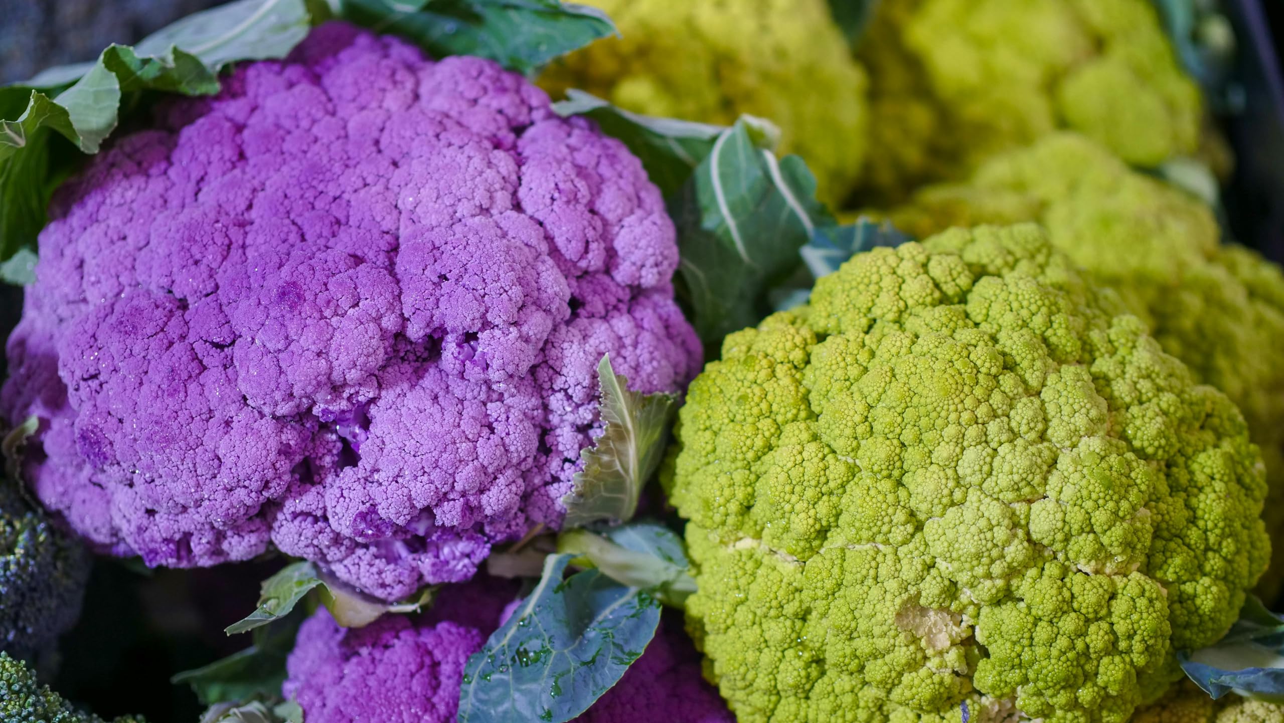 Mixed Pack - Cauliflower Plug Plants Grow Your Own Vegetables 'Ready to Plant Now' Young Vegetable Plants (6, Mixed Pack)