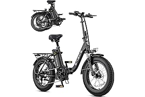 ENGWE L20 2.0: 750W Electric Mountain Bike for Adults