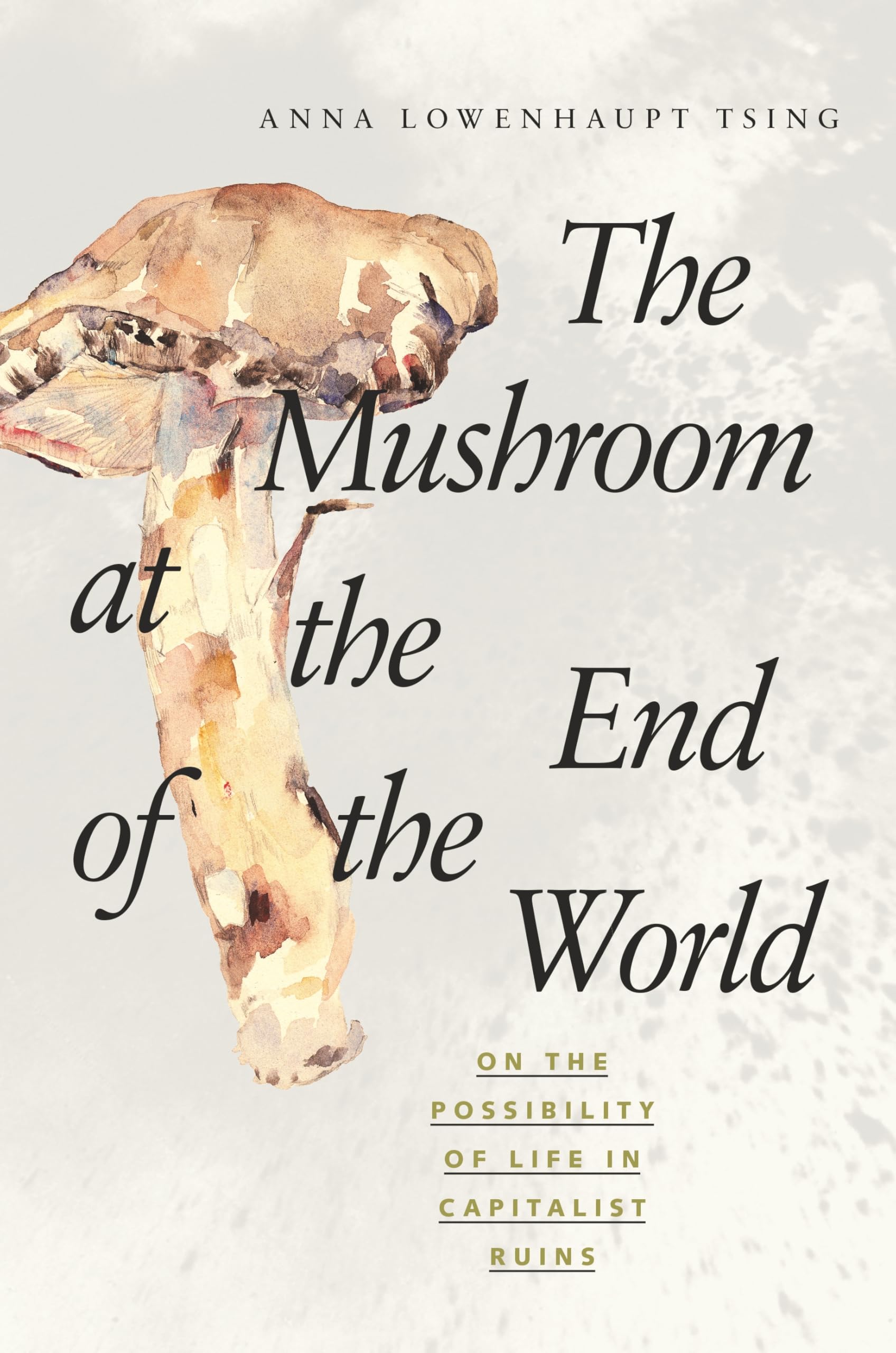 The Mushroom at the End of the World: On the Possibility of Life in Capitalist Ruins Hardcover – September 29, 2015