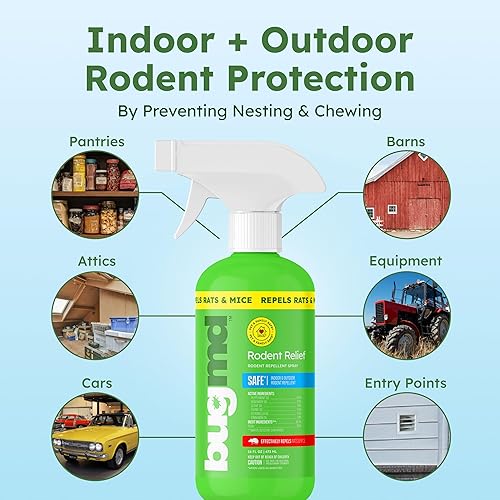 Miniatura 9 de BugMD Spray de aceite de menta para roedores  16 onzas repelente de ratones y repelente de roedores, repelente natural de ratones con aceites de