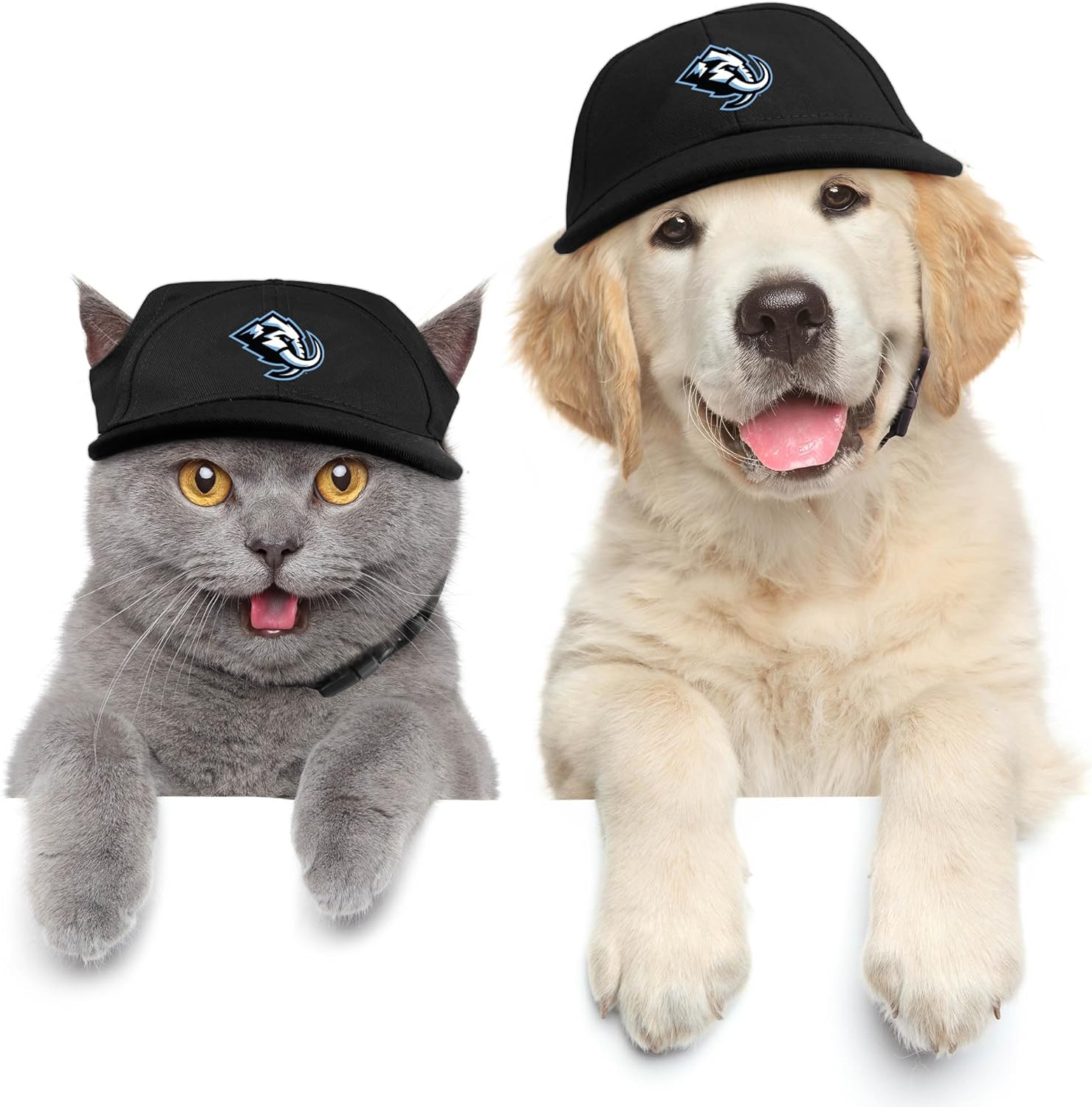 Littlearth Unisex NHL Pet Baseball Hat
