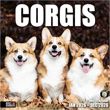 RED EMBER Corgis 2026 Wall Calendar 12 Month | 12" x 24" Open | Thick & Sturdy Paper | Giftable | Cute Puppy Dog Calendar 2026