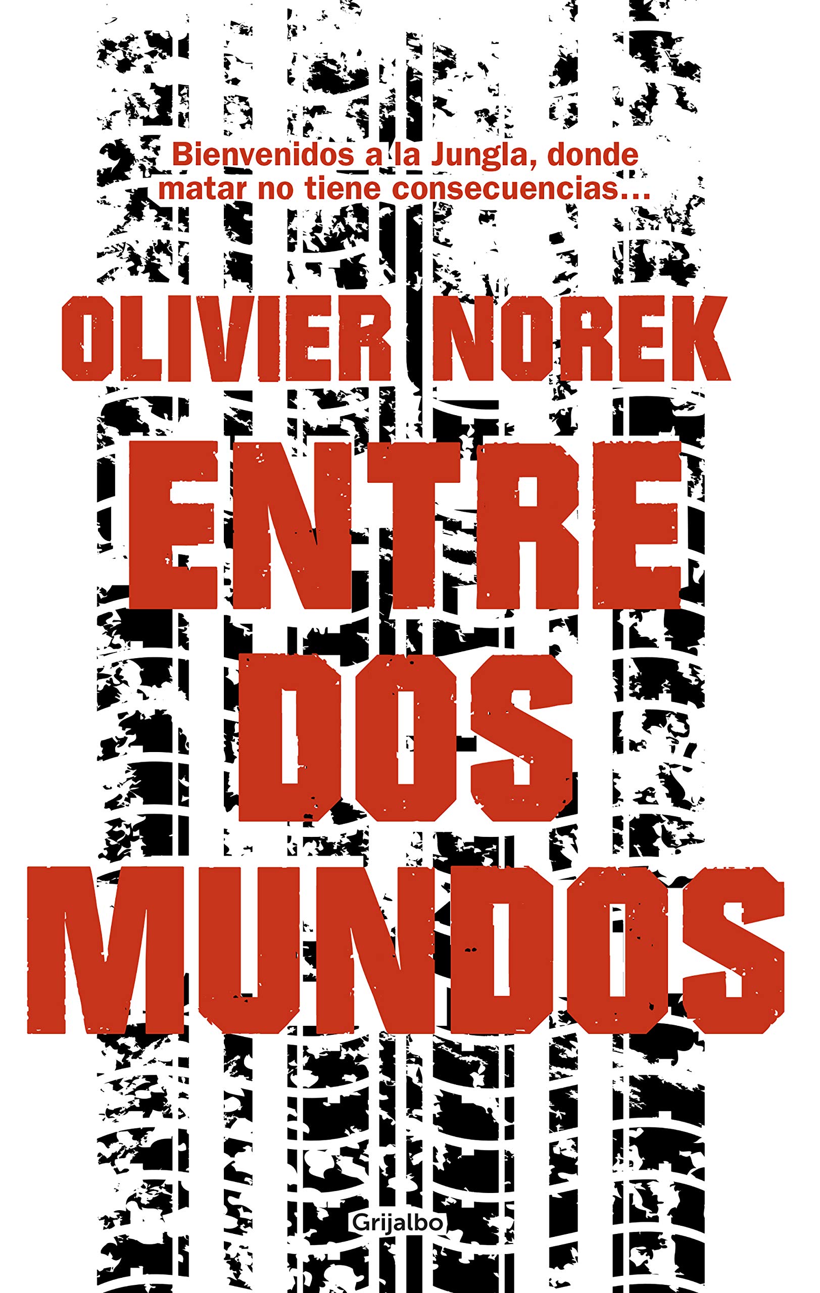 Entre dos mundos (Novela de intriga)