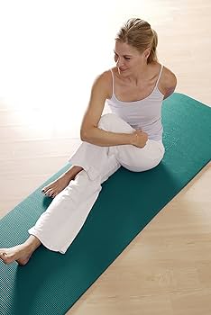 Amazon | AIREX(エアレックス) トレーニングマット フィットライン180