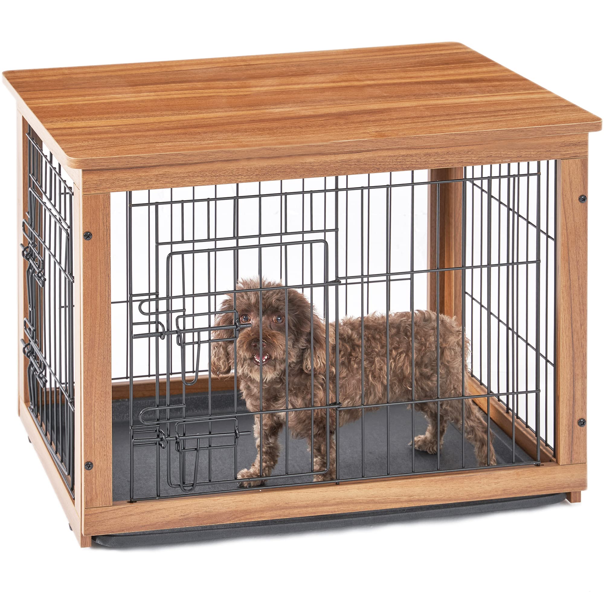 Should You Put Water In A Dog Crate bet.yonsei.ac.kr