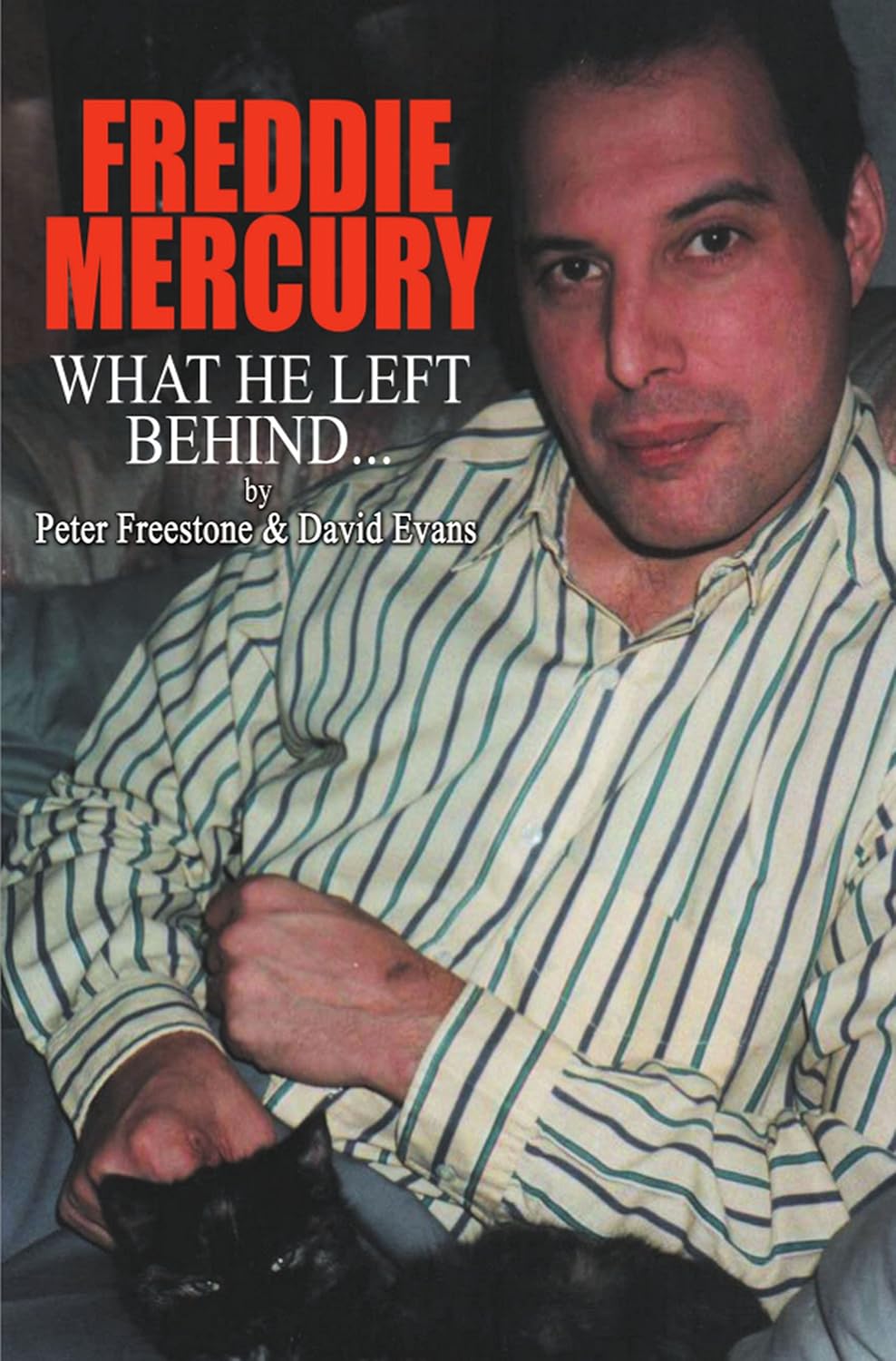 FREDDIE MERCURY What He Left Behind The Story of What Happened after