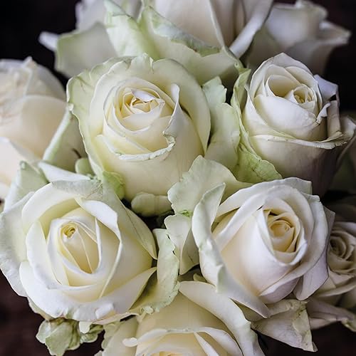 Miniatura 7 de Nachtmann Quartz Collection - Jarrón ovalado de cristal, 6 pulgadas, para centros de mesa, ramo, flores, decoración del hogar, regalo de boda,