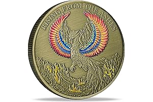 Phoenix Rising Lucky Coin Serenity Prayer Sobriety Coin: The Perfect AA Gift